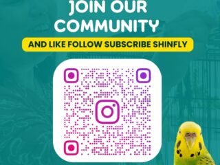 fd2b17eb-ef36-4876-80de-1aa155e2b378